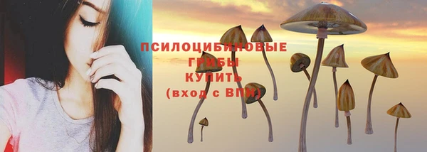 дживик Балабаново