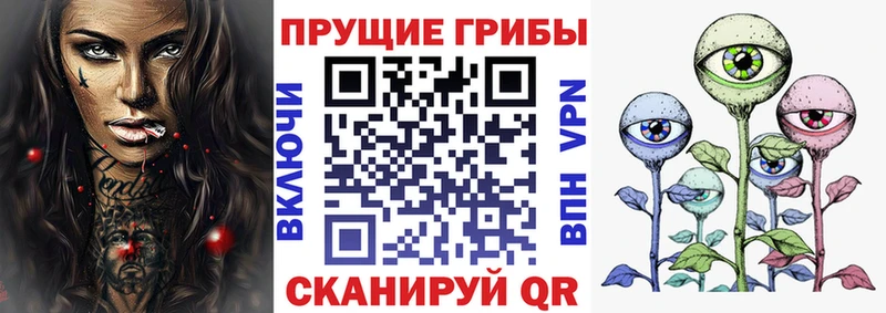 ссылка на мегу как зайти  закладка  Михайловск  Галлюциногенные грибы ЛСД 