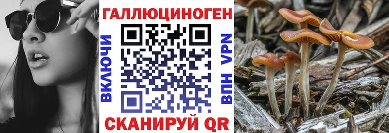 Псилоцибиновые грибы ЛСД Михайловск