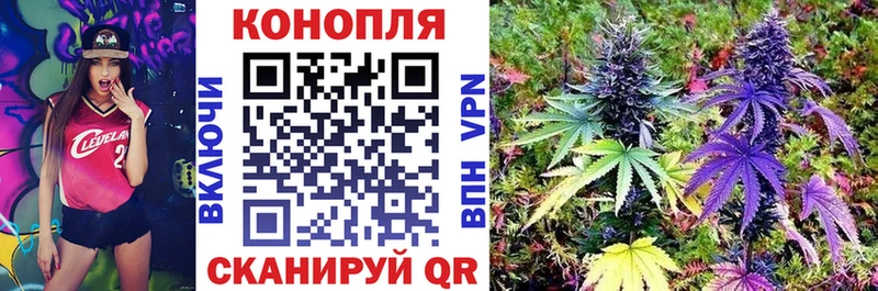 Конопля тримм Михайловск